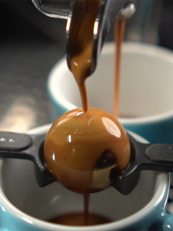 Nucleus Paragon Espresso Chillers