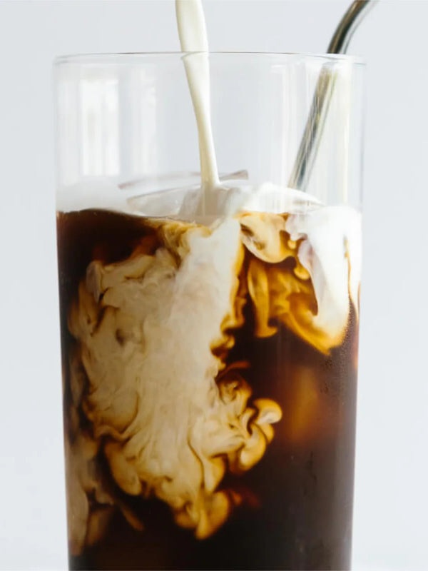 Toddy - Home Cold Brew System