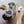 Load image into Gallery viewer, Kogu Long Cupping Spoon
