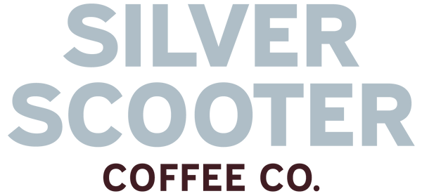 Reuseable Silver Scooter Bag