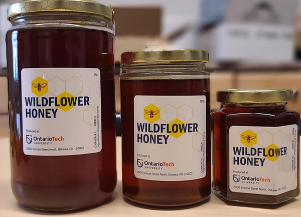 Ontario Tech Wildflower Honey - 500Gram Jar