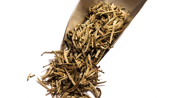 Seven Sisters Tea - White Needle